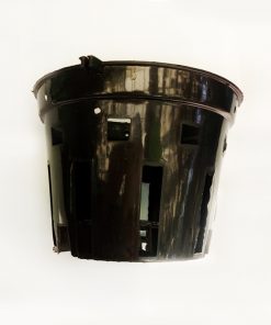 Giỏ nhựa đen trồng lan phi 14 cm