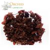 Vỏ thông Alfa Bark Bồ Đào Nha