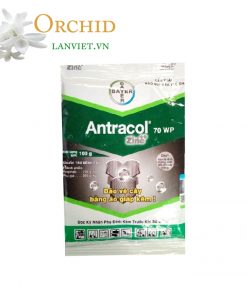Thuốc trừ bệnh thối rễ dưỡng lá Antracol
