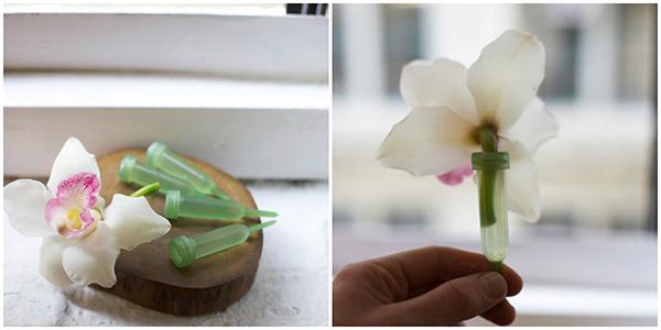 Kẹp hoa vào ống nghiệp để giữ hoa lâu hơn khi cắm hoa Lan để bàn
